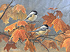 Chickadees and Maple